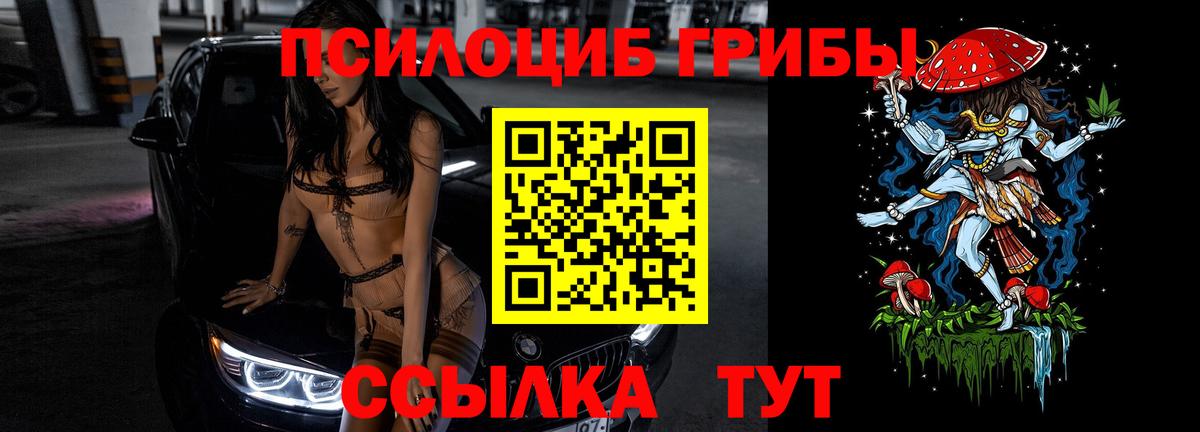 Псилоцибиновые грибы мицелий Вязьма